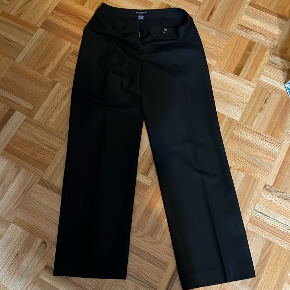 Ann taylor dress pant